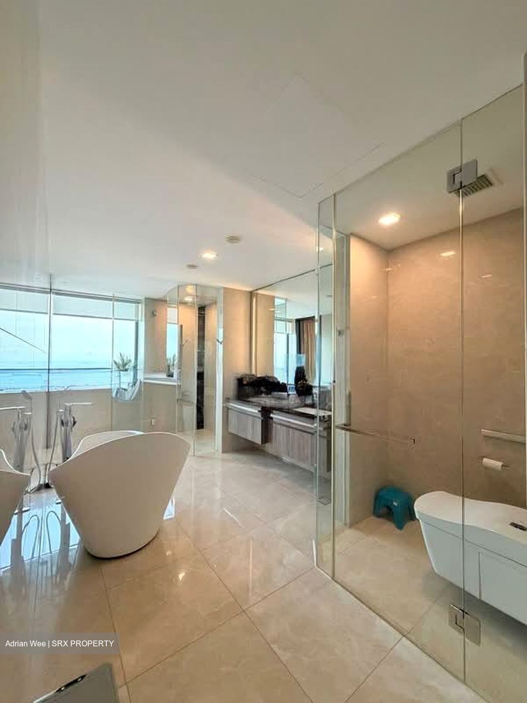 Wallich Residence  (D2), Condominium #555420621